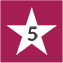 five star review