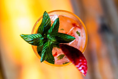 Cocktail